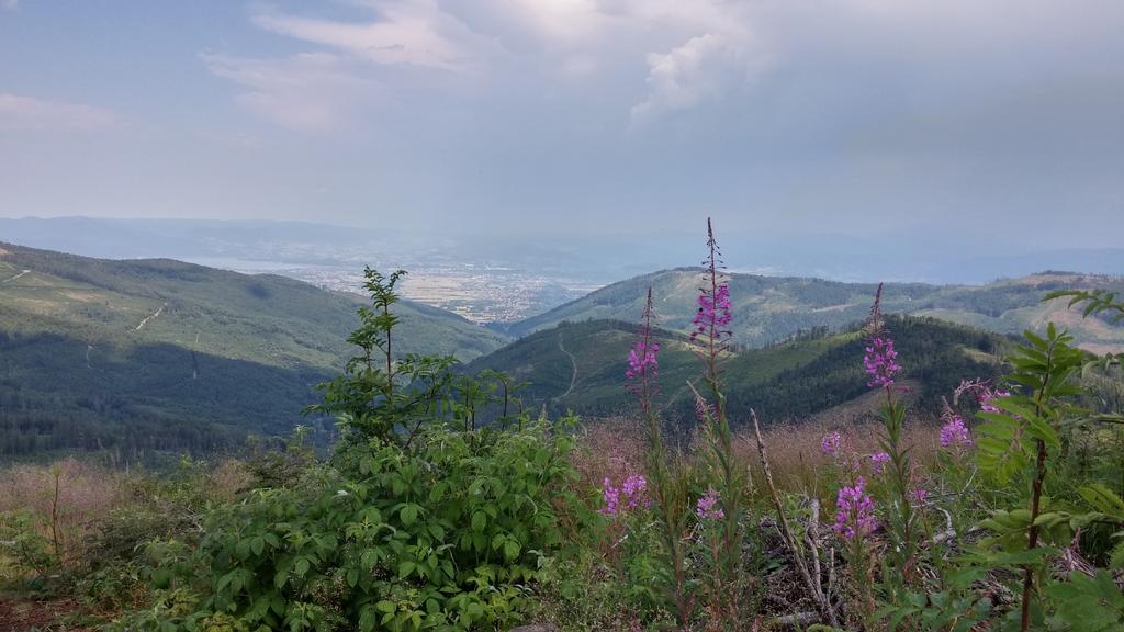 Pod Klimczokiem I Bed & Breakfast ชเจอร์ค ภายนอก รูปภาพ